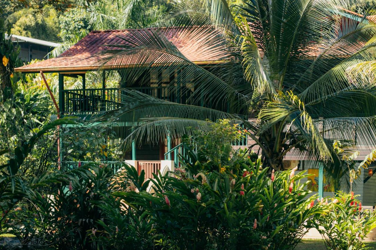 مبيت وإفطار Big Creek Casa De Mono Bocas المظهر الخارجي الصورة