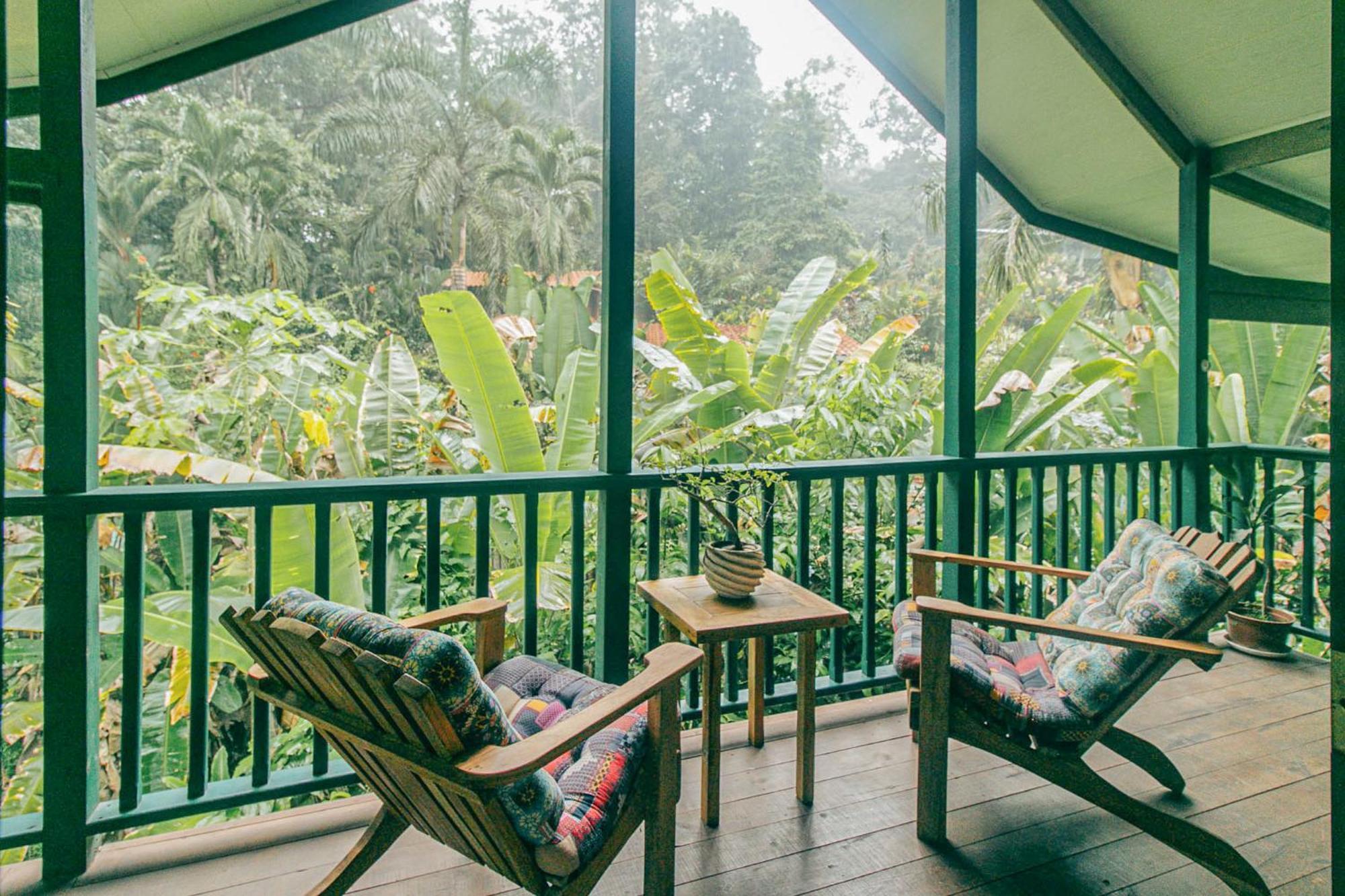 مبيت وإفطار Big Creek Casa De Mono Bocas المظهر الخارجي الصورة