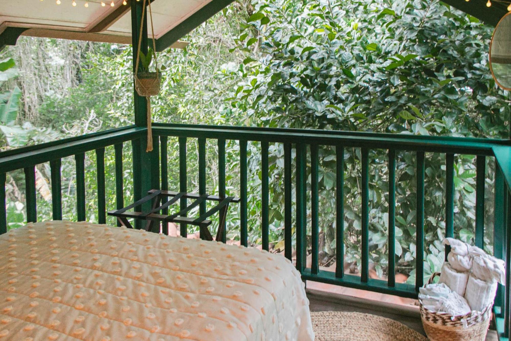 مبيت وإفطار Big Creek Casa De Mono Bocas المظهر الخارجي الصورة