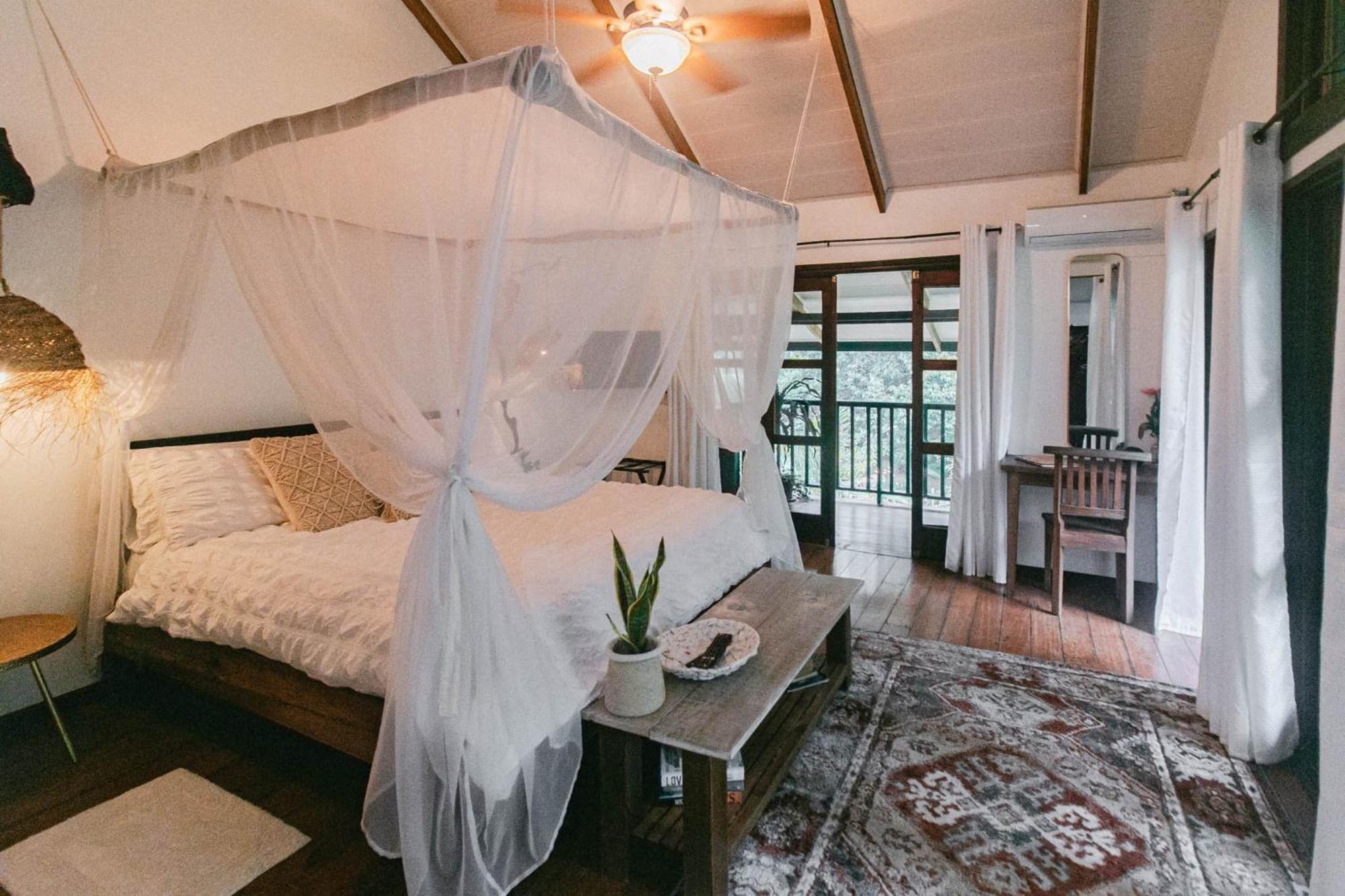 مبيت وإفطار Big Creek Casa De Mono Bocas الغرفة الصورة
