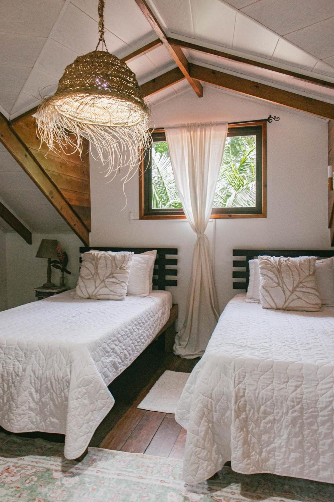 مبيت وإفطار Big Creek Casa De Mono Bocas المظهر الخارجي الصورة