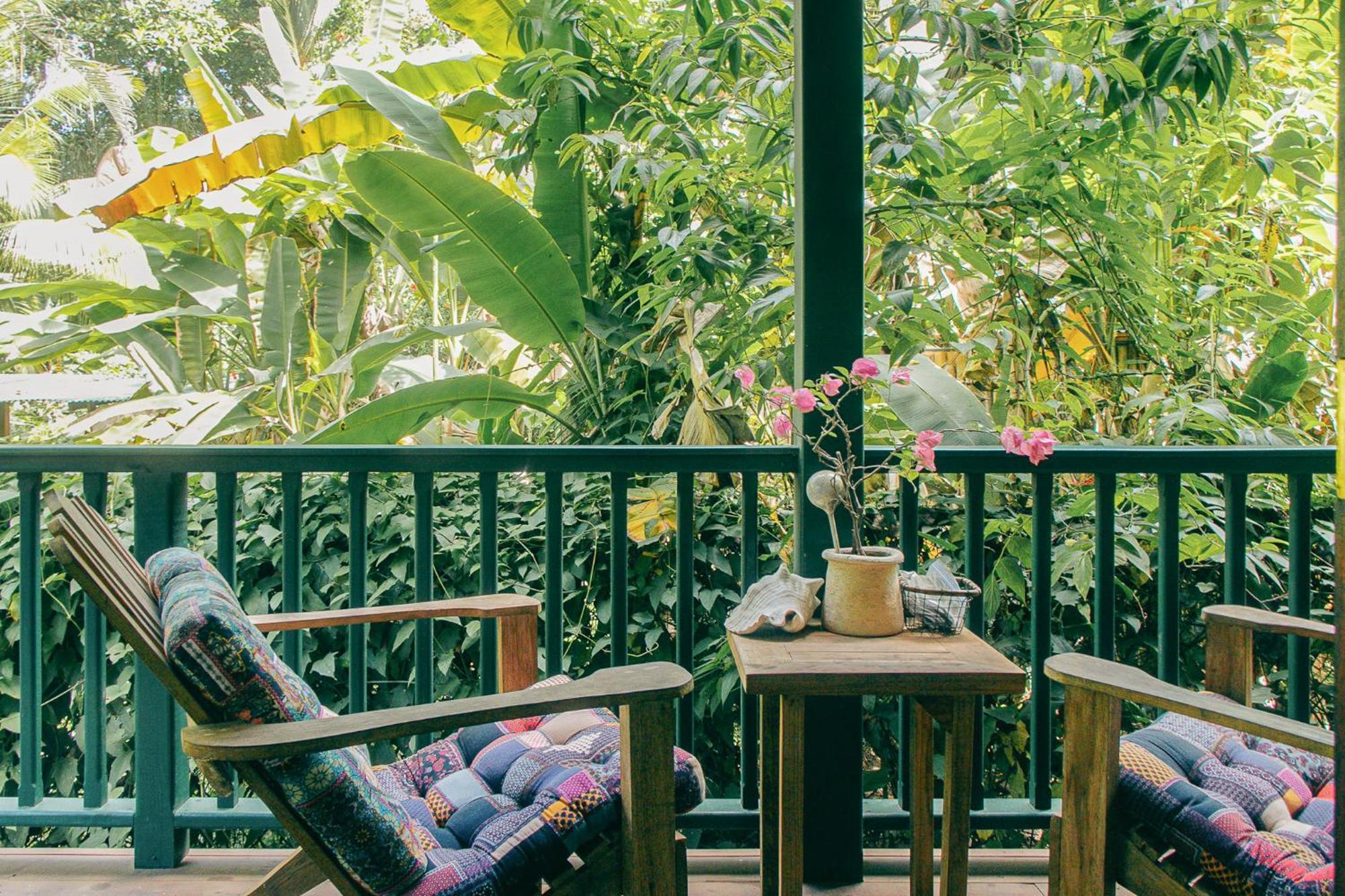 مبيت وإفطار Big Creek Casa De Mono Bocas المظهر الخارجي الصورة