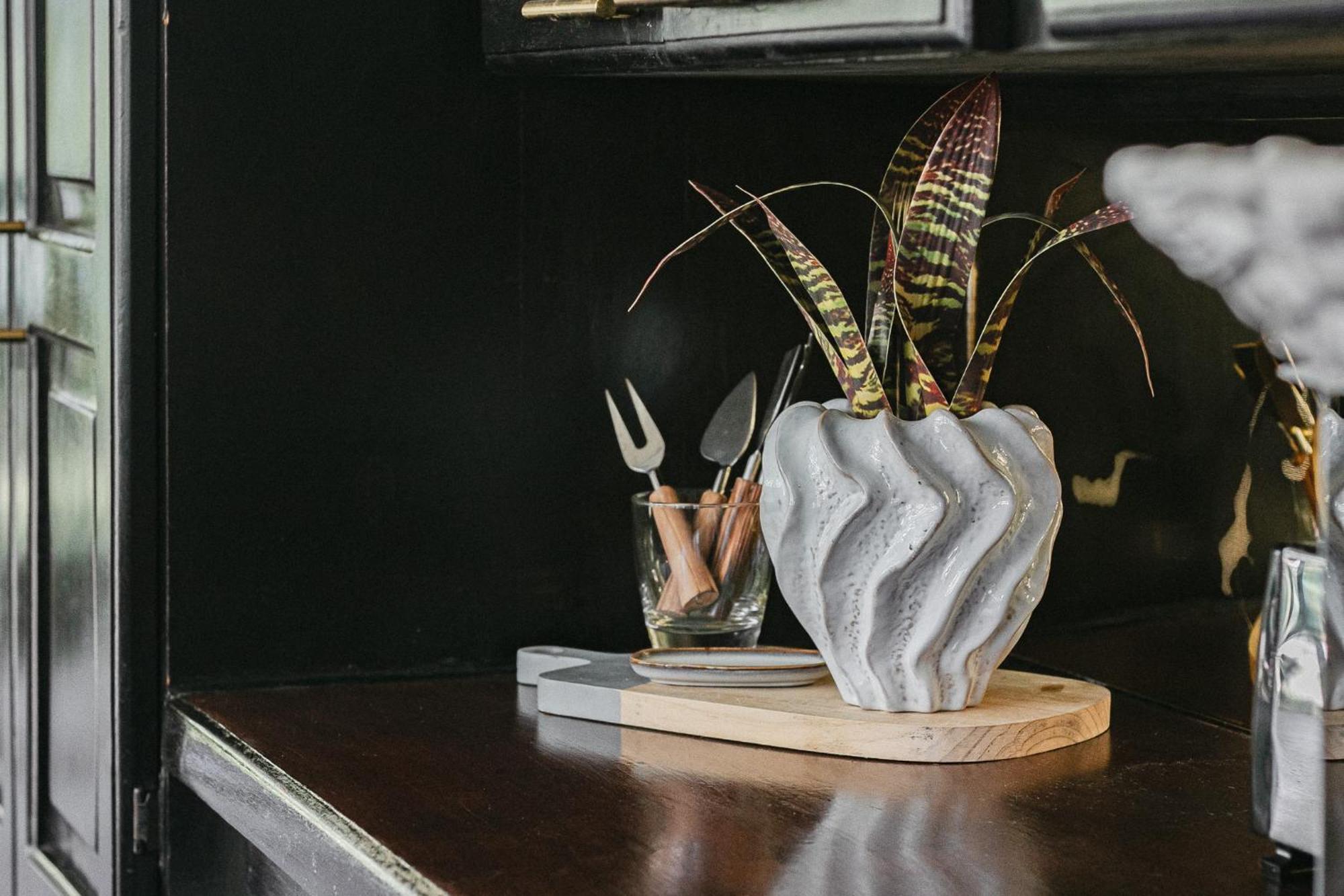 مبيت وإفطار Big Creek Casa De Mono Bocas المظهر الخارجي الصورة