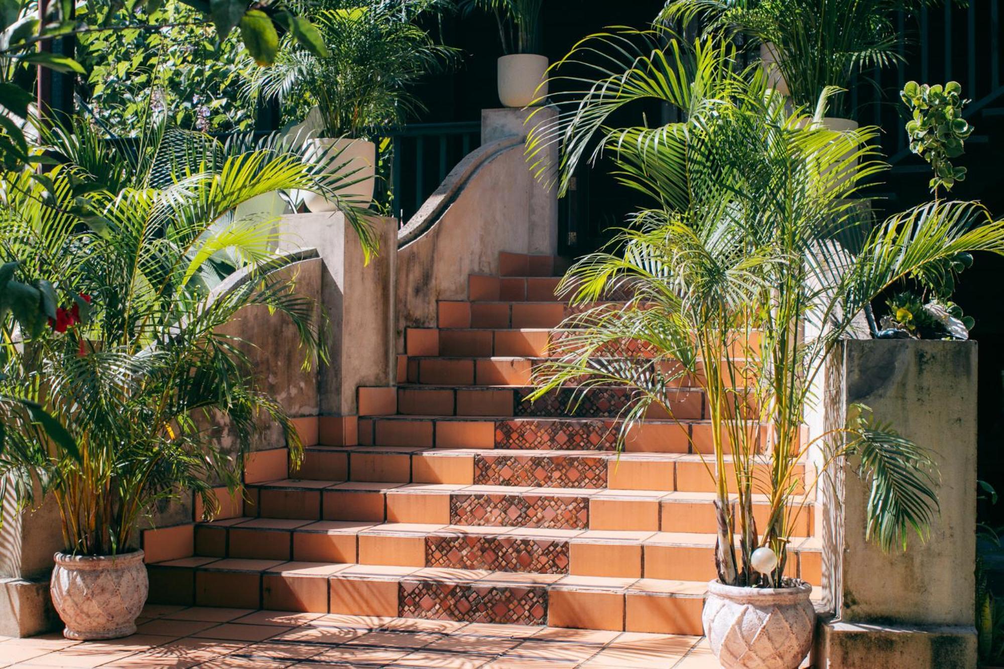 مبيت وإفطار Big Creek Casa De Mono Bocas المظهر الخارجي الصورة