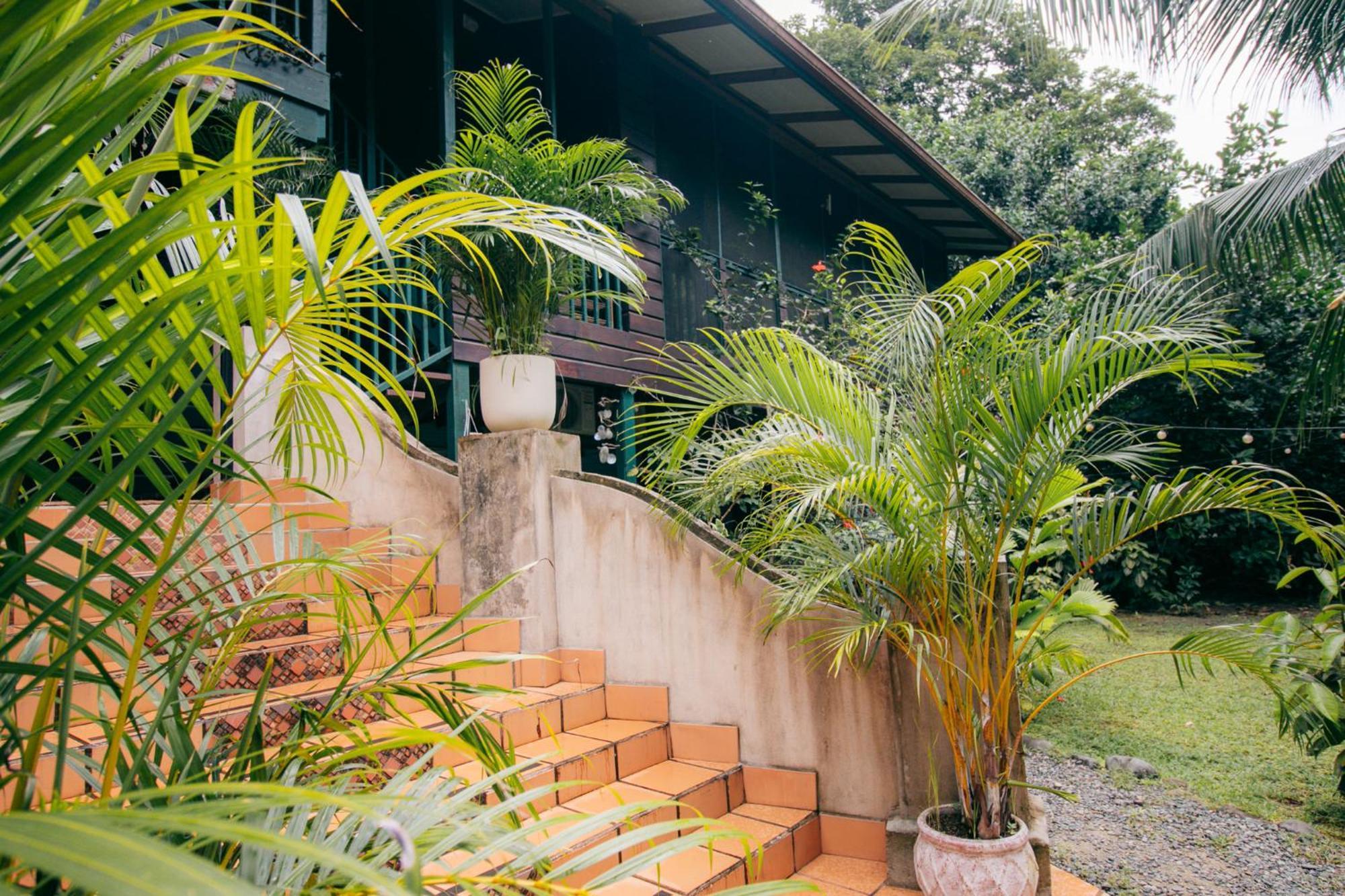 مبيت وإفطار Big Creek Casa De Mono Bocas المظهر الخارجي الصورة