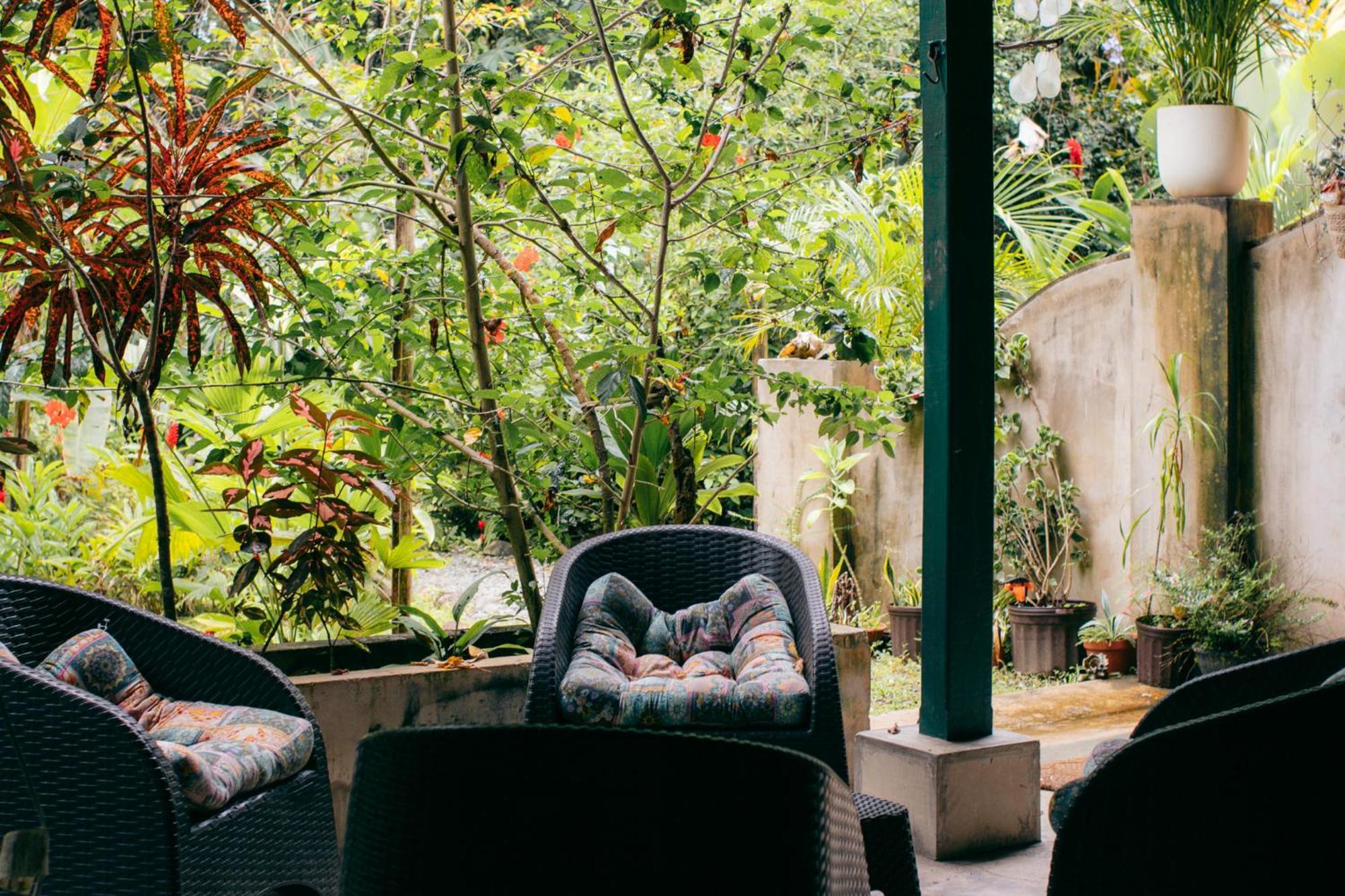 مبيت وإفطار Big Creek Casa De Mono Bocas المظهر الخارجي الصورة