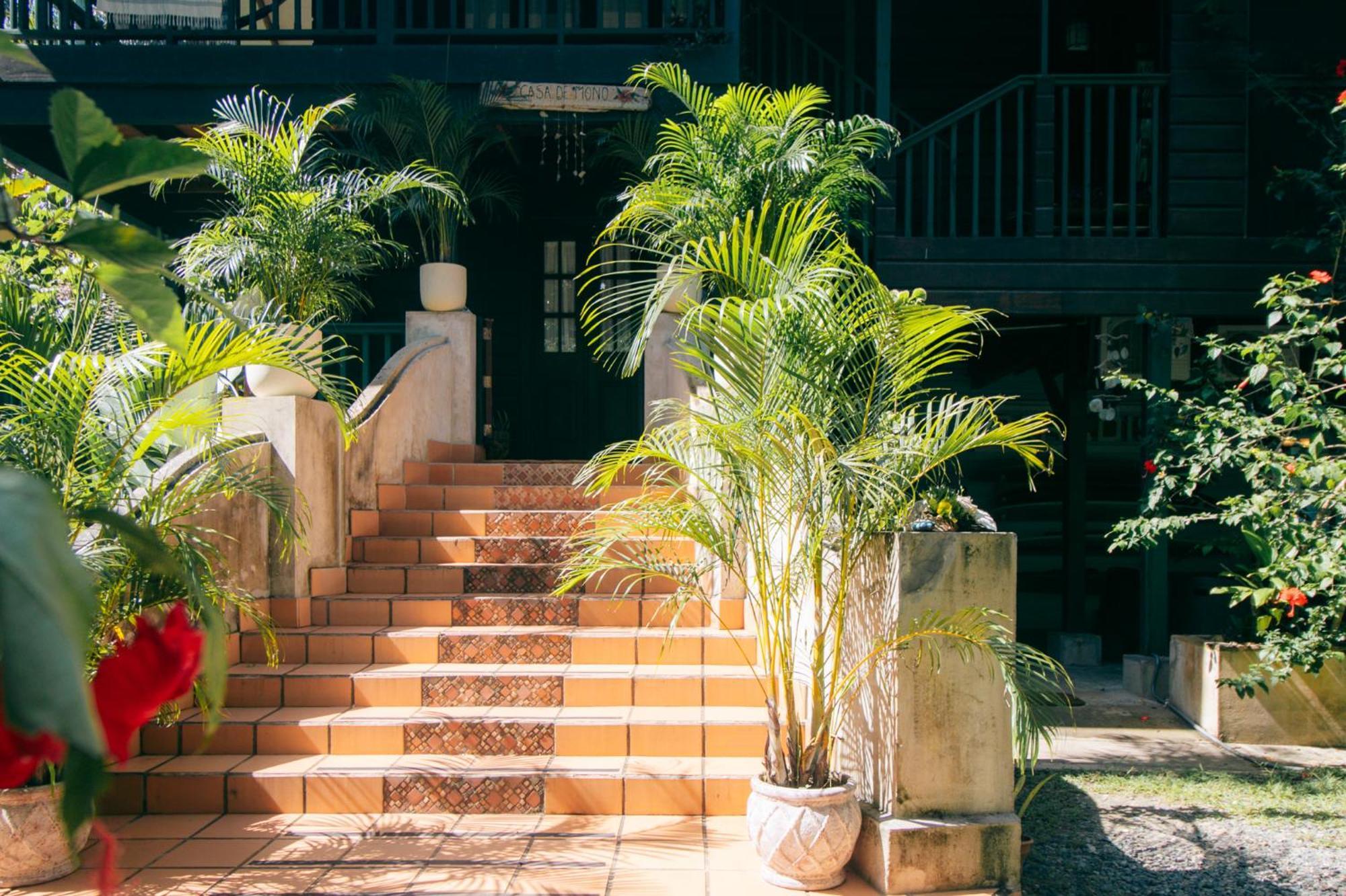مبيت وإفطار Big Creek Casa De Mono Bocas المظهر الخارجي الصورة
