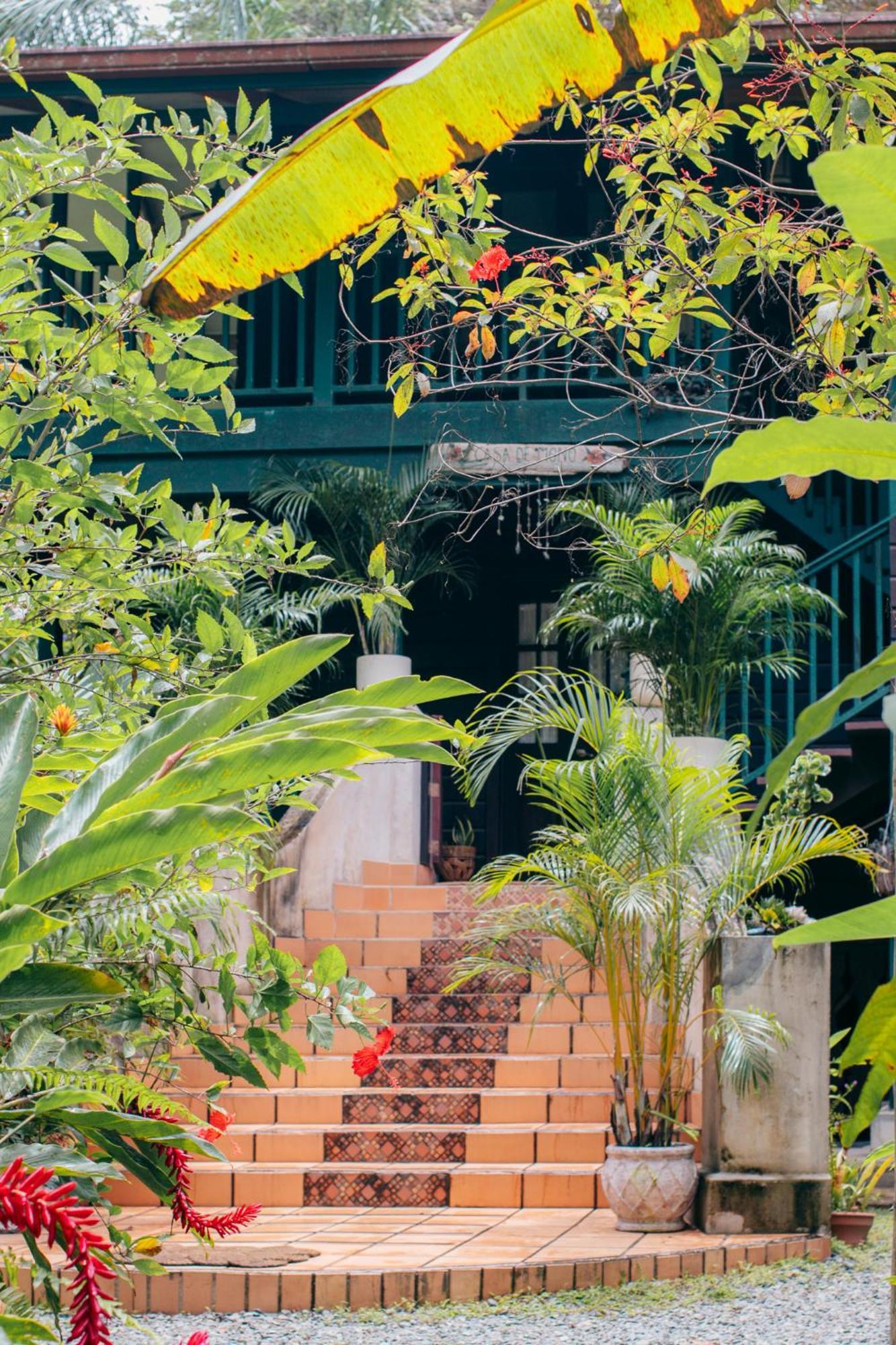 مبيت وإفطار Big Creek Casa De Mono Bocas المظهر الخارجي الصورة