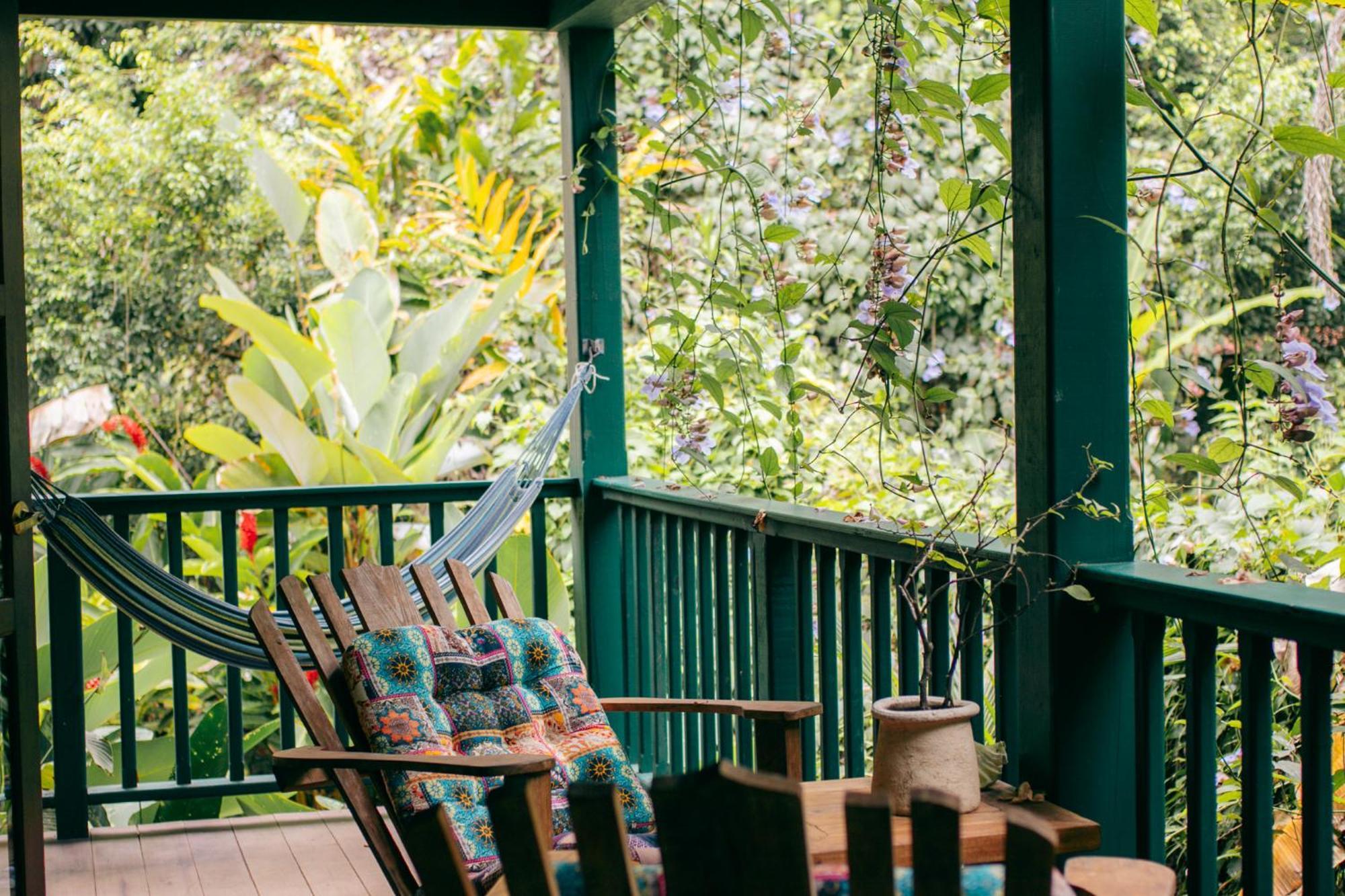 مبيت وإفطار Big Creek Casa De Mono Bocas المظهر الخارجي الصورة