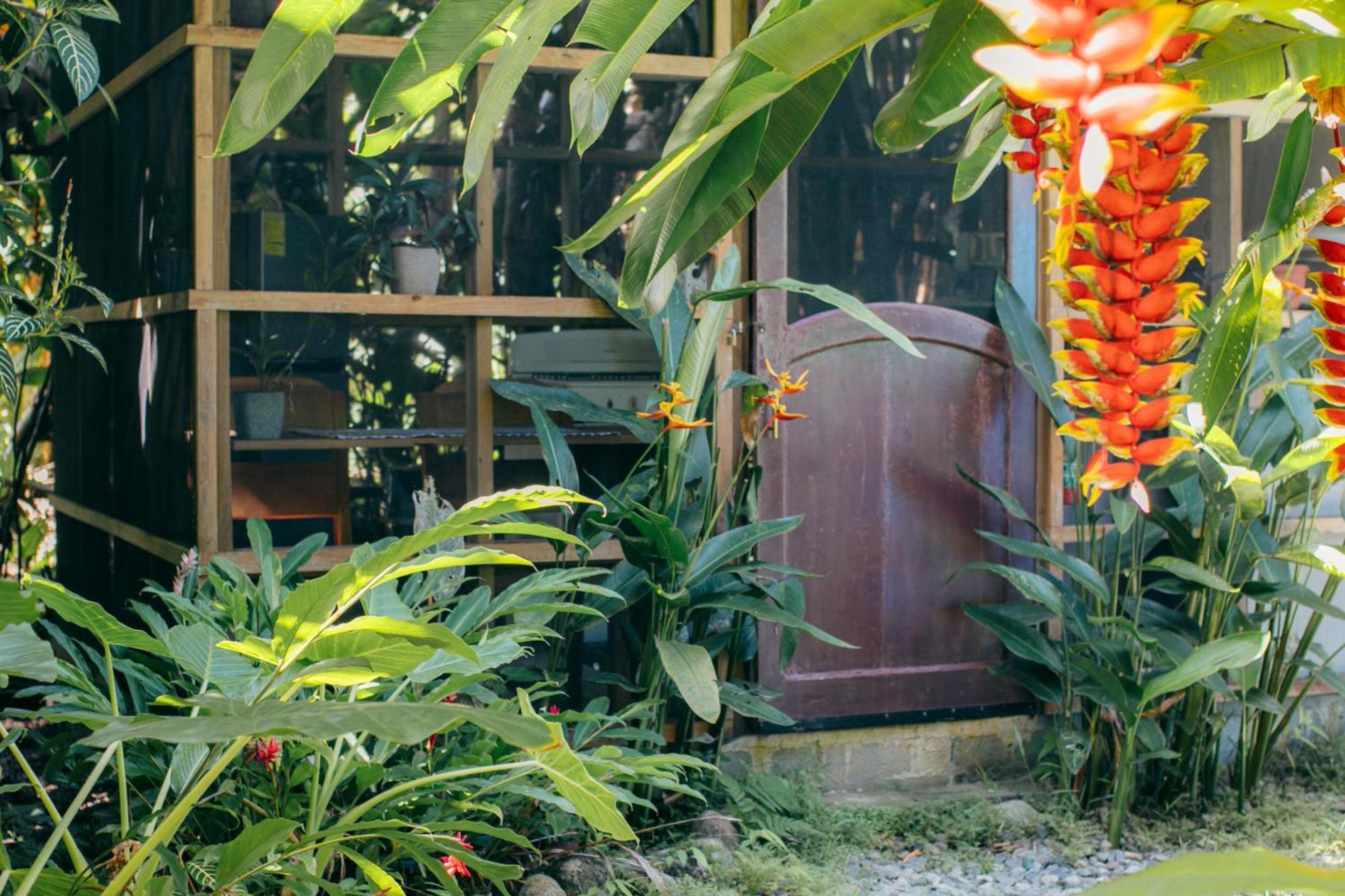 مبيت وإفطار Big Creek Casa De Mono Bocas المظهر الخارجي الصورة